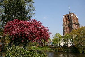 Hyrbil Leeuwarden
