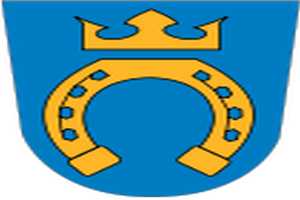 Hyrbil Esbo